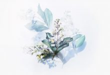 Unlimited Sidebars to Assign Different One for Each Page