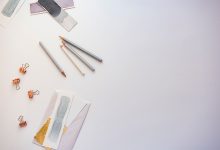 Are You Ready? ZBest is Ready for New WordPress 6.7 “Rollins”